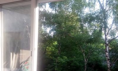 ������ �������� � ������� ���������� ������ (���� �4)