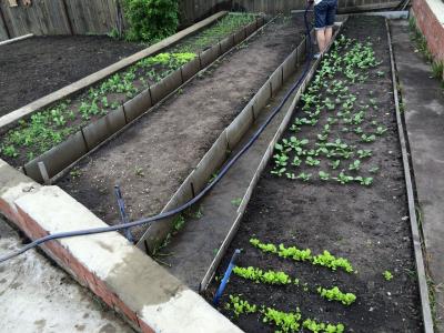 ���� ����������� ����� (���� �4)