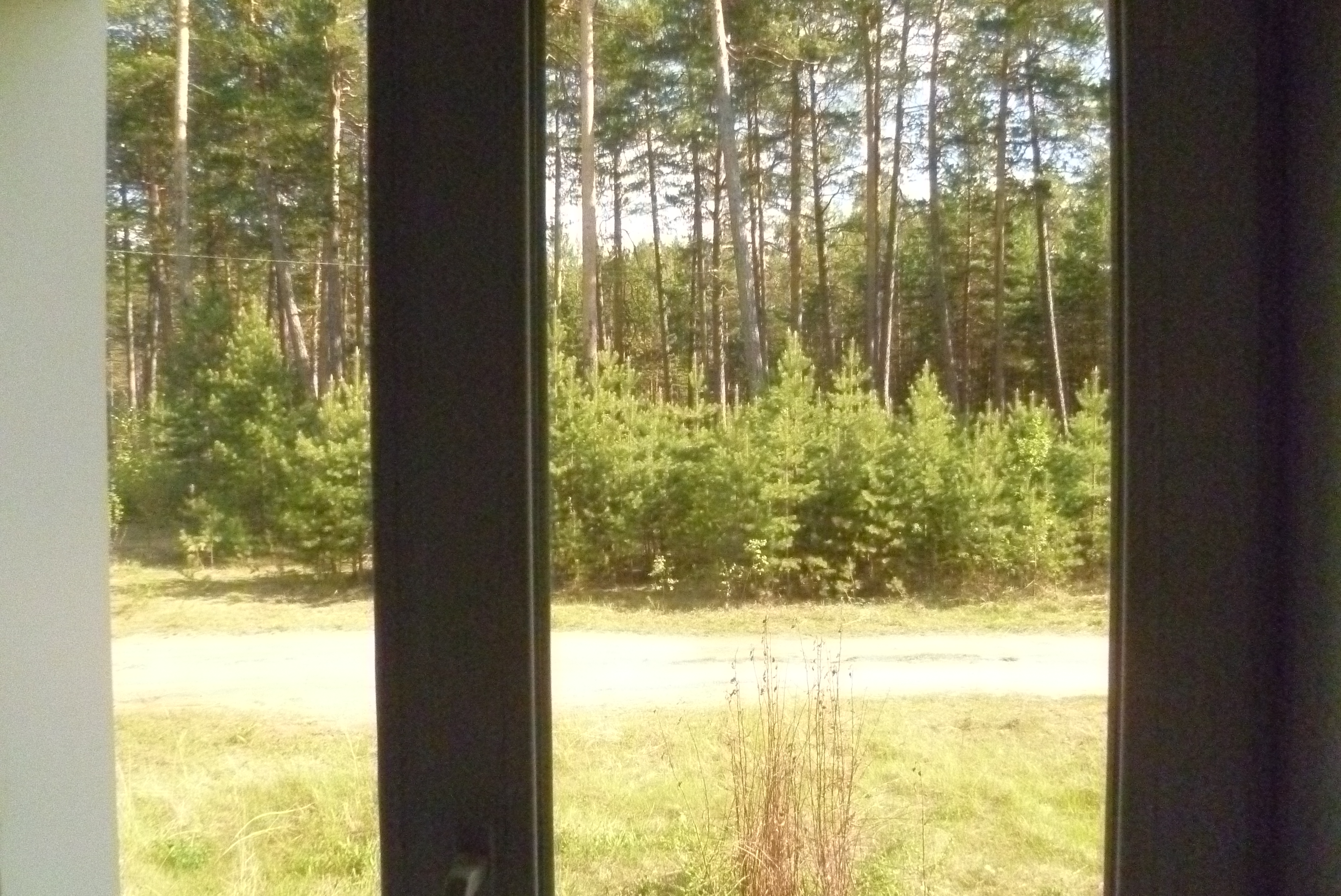 ������ 4 ��������� �������� �������� (���� �10)