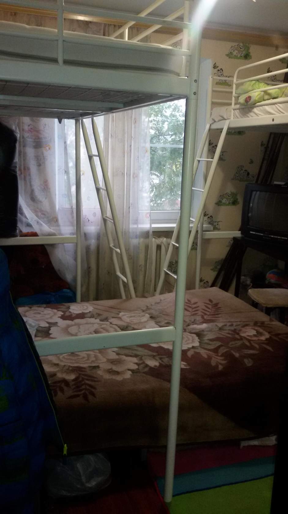      ( 2)