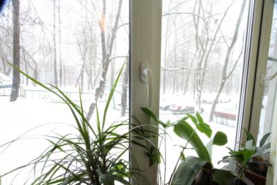 ������������� ������ ������ �������� (���� �2)