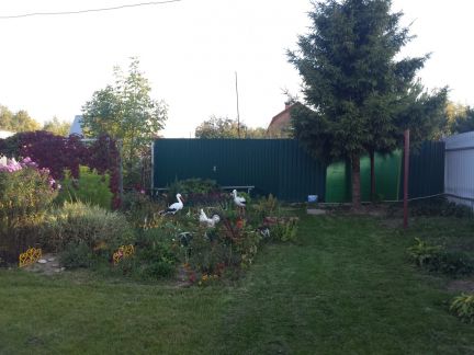 ������ ��������� ������� ������� ��������� (���� �3)