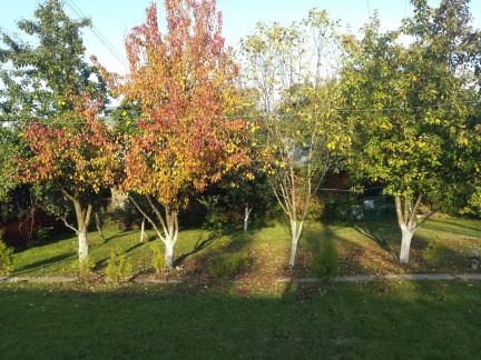 ������ ��������� ������� ������� ��������� (���� �4)