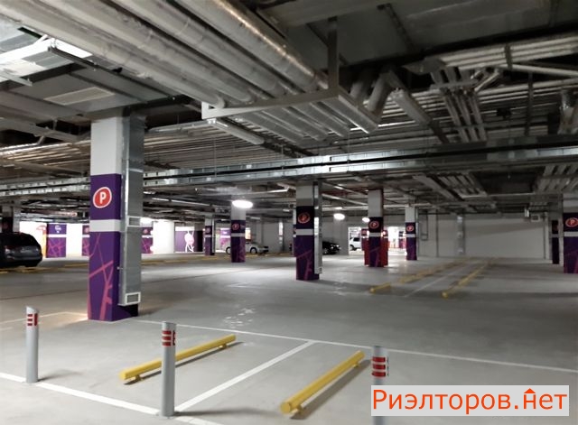 �� ����� ������ (���� �11)