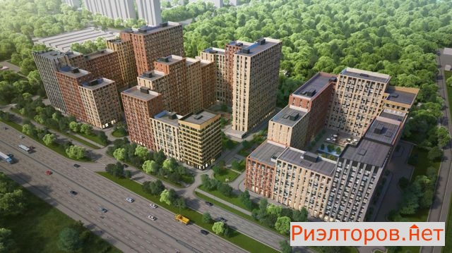 �� ����� ������ (���� �12)