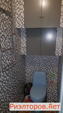      491 ( 3)
