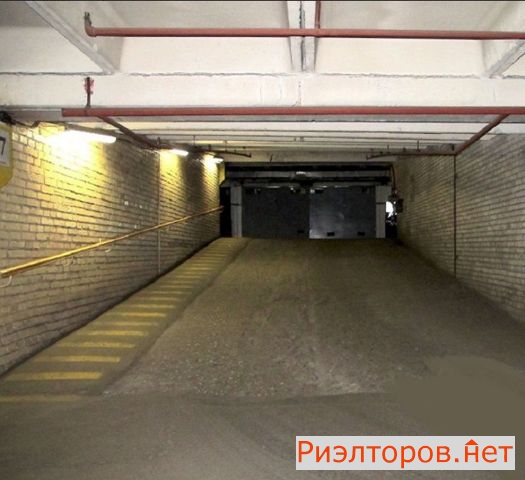      ( 3)