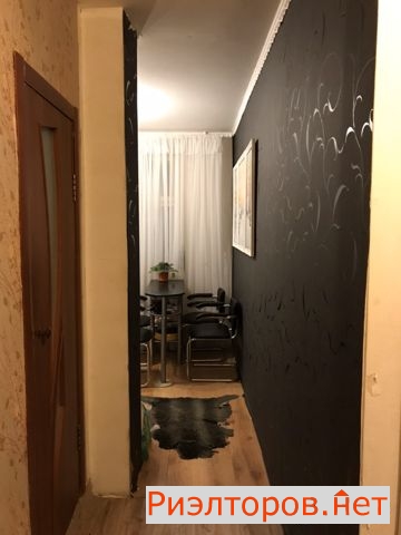      5 ( 8)