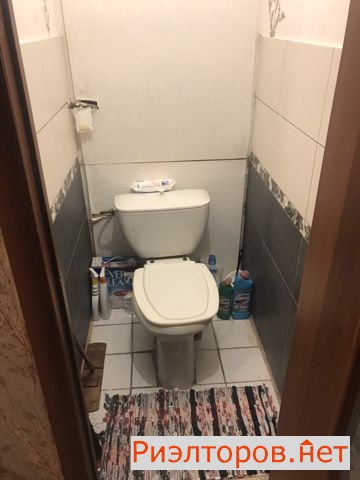      5 ( 17)