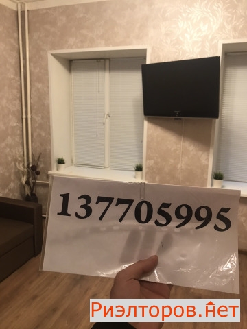       19 ( 10)
