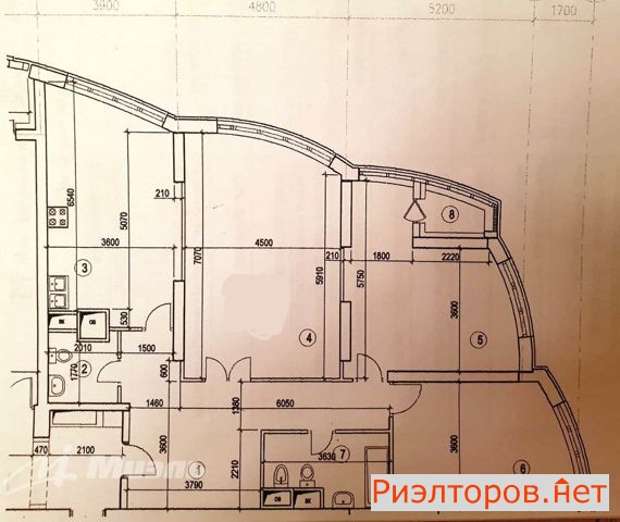    ( 3)