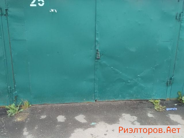     33 ( 4)