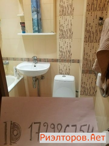      532 ( 11)