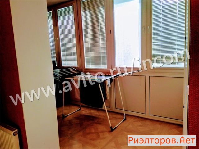 �� ����� ���� ������ (���� �12)