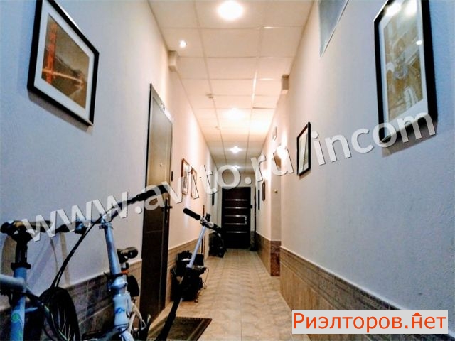 �� ����� ���� ������ (���� �19)