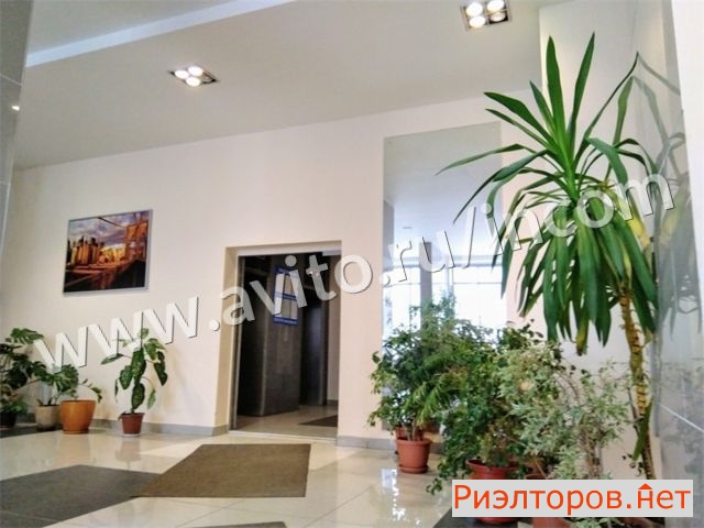 �� ����� ���� ������ (���� �20)