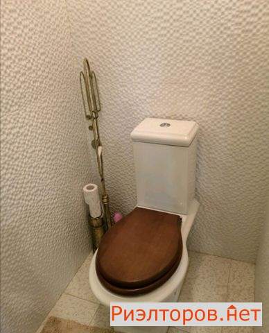      ( 11)