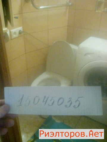     262 ( 14)