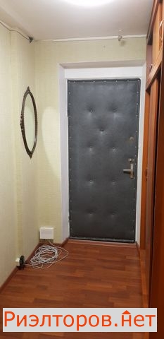     241 ( 3)