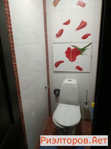     1 ( 11)
