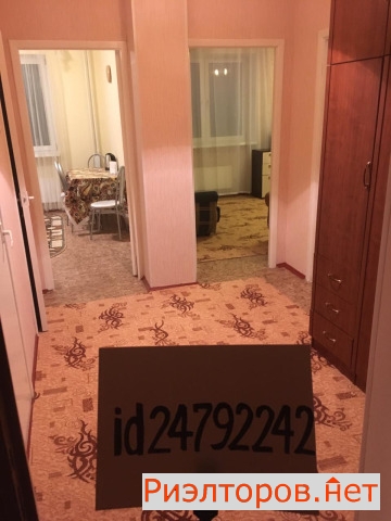      231 ( 8)