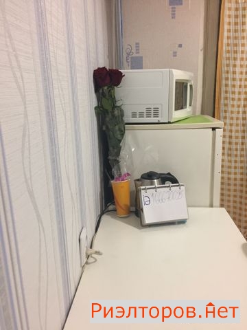      ( 17)