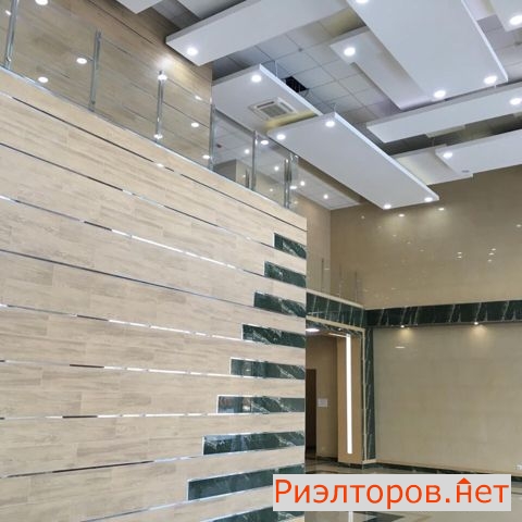 �� versis ����� (���� �5)