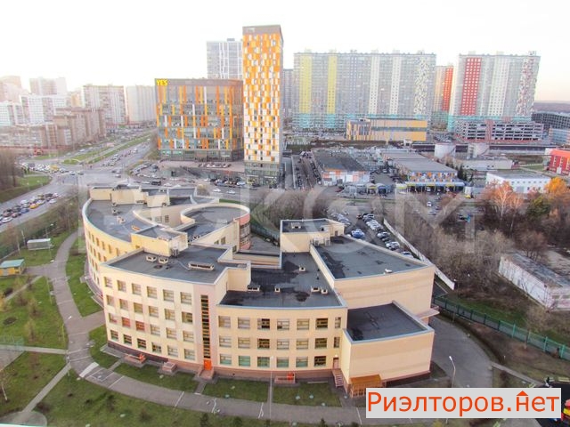     2005 ( 15)