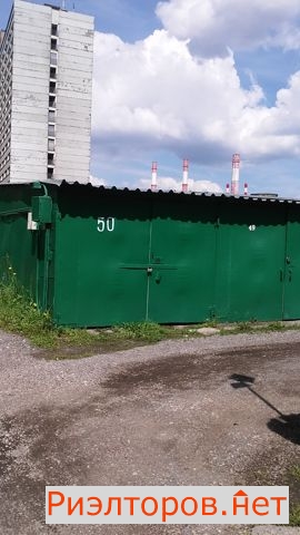      ( 3)