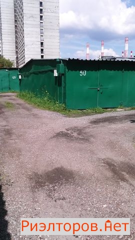      ( 4)