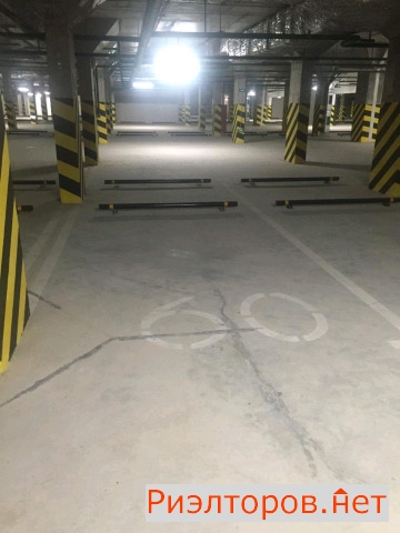       ( 3)