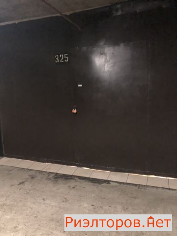    234 ( 8)