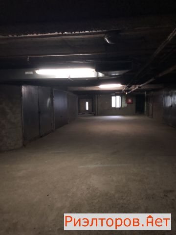     234 ( 18)