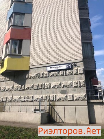     313 ( 13)