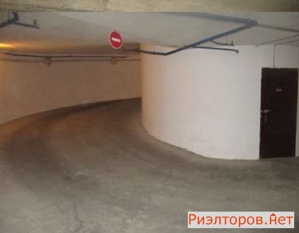       ( 3)