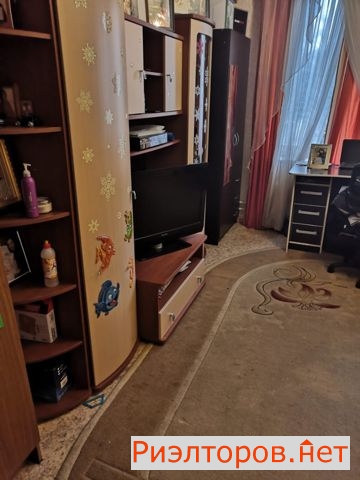       ( 5)