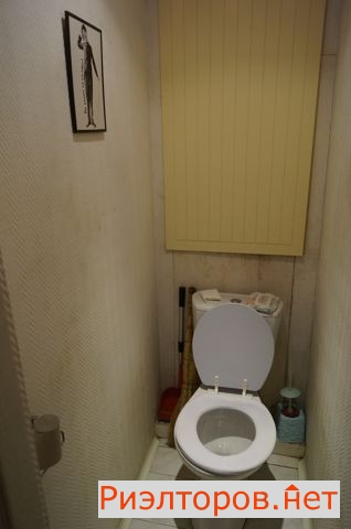  3      ( 14)