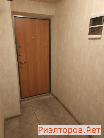     533 ( 16)