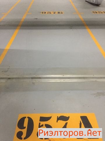         ( 2)