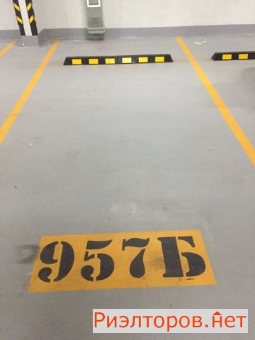         ( 3)