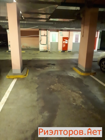      ( 2)