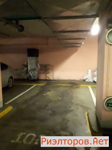      ( 3)