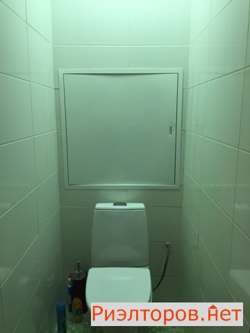     281 ( 13)