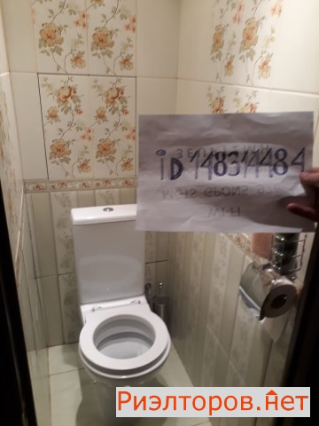      272 ( 12)