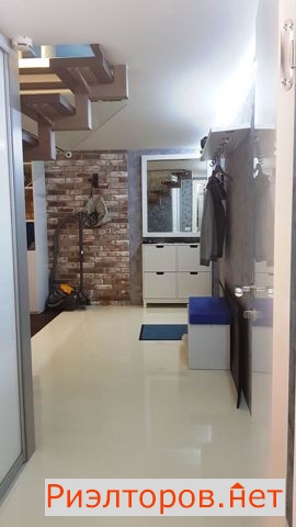 �� studio 8 (���� �12)