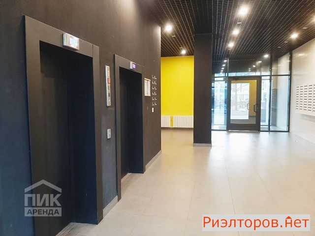      141 ( 11)