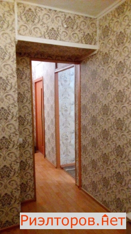    50   2 ( 4)