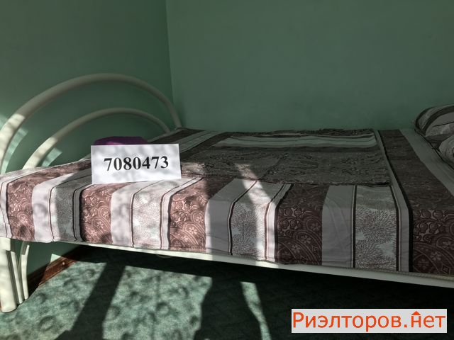      49 ( 8)