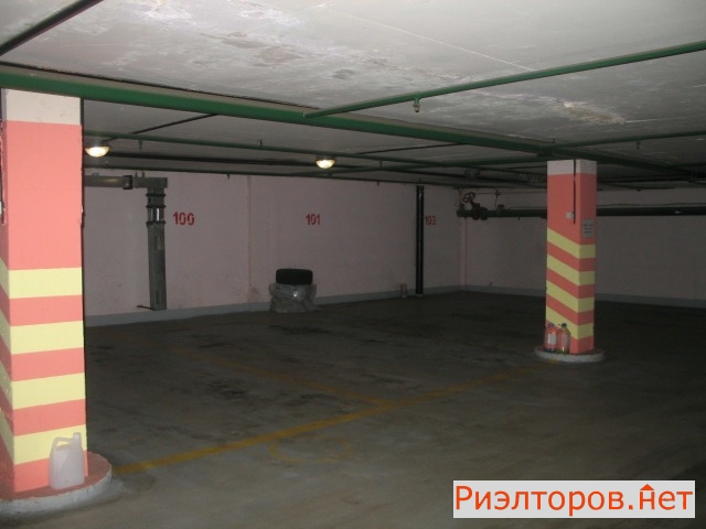     ( 3)