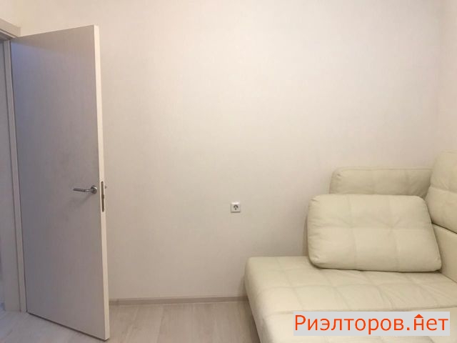      282 ( 11)